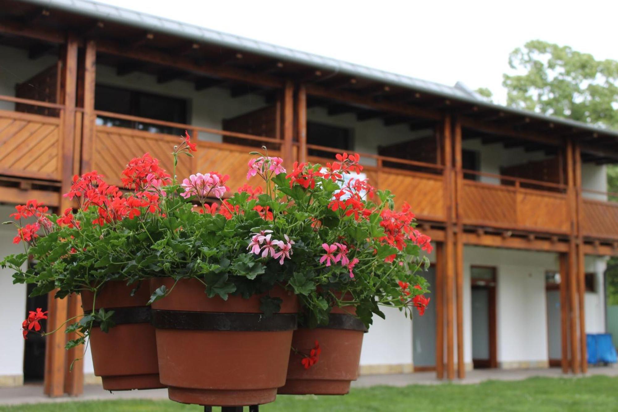 Foeveny Apartmanok Balatonfuzfo Exterior photo